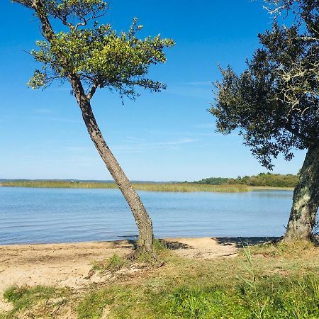 Maisonnette A 300 M Du Lac De Biscarrosse Dış mekan fotoğraf